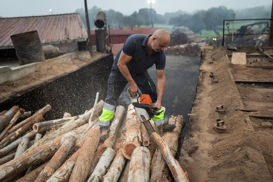Lumberjack cutting wood with chainsaw