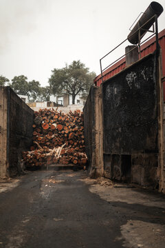 Charcoal factory with stacked wood