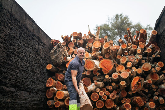 Lumberjack arranging logs in charcoal factory
