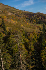 Autumn mountain landscape, Rosa Peak, Krasnaya Polyana, Sochi, road to the waterfalls
