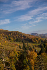 Autumn mountain landscape, Rosa Peak, Krasnaya Polyana, Sochi, road to the waterfalls
