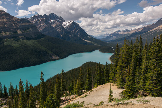 Peyto Lake, Banff National Park, Canada