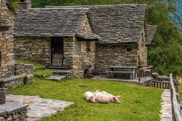 Sonogno - Frasco - Tessin