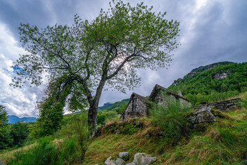 Sonogno - Frasco - Tessin