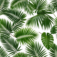 Lush green palm and tropical foliage against a dark backdrop