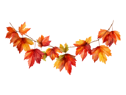Autumn watercolor maple leaf garland isolated on transparent background