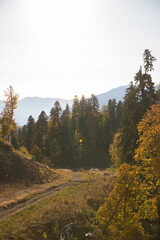 Autumn mountain landscape, Rosa Peak, Krasnaya Polyana, Sochi, road to the waterfalls
