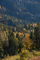 Autumn mountain landscape, Rosa Peak, Krasnaya Polyana, Sochi, road to the waterfalls
