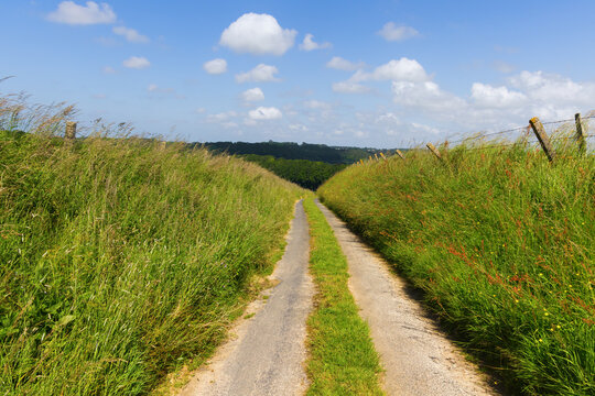 ein Weg f&uuml;hrt durch eine sommerliche Mittelgebirgslandschaft