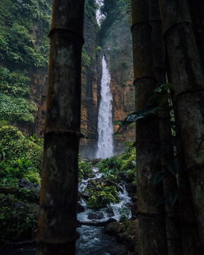 View of a towering waterfall cascading down mossy rocks, framed by dark bamboo stalks, creating a vibrant contrast of light and shadow, Kapas Biru Waterfall, Jawa Timur, Indonesia.