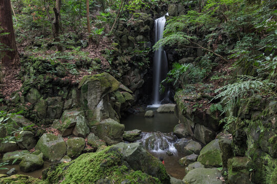 View of a small, serene waterfall cascading over moss-covered rocks into a pool surrounded by lush greenery and trees, Narita, Chiba, Japan.