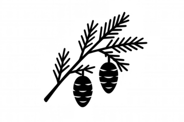 Pine branch with two hanging pinecones, creating a natural and graphic silhouette. Evergreen symbol for holiday and seasonal design