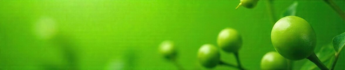 Vibrant Green Pea Pods Bursting Open A Cheerful Springtime Image of Natures Abundance