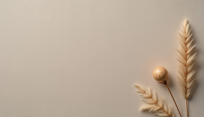 Dried plants and decorative sphere on neutral background  