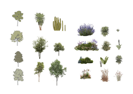 Vegetation front view vector set for section or elevations views in architectural and landscaping illustrations.