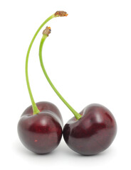 Two sweet cherries isolated on white background
