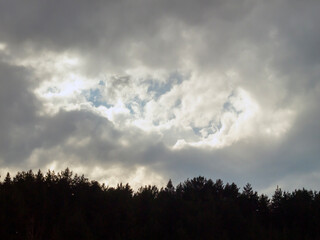 A forest and a cloudy sky, a gloomy weather