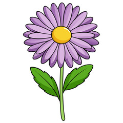 Illustration of a purple daisy flower drawing with stem and leaves for botanical art design