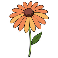 Download beautiful rudbeckia hirta flower illustration vector art design for free and use commercially