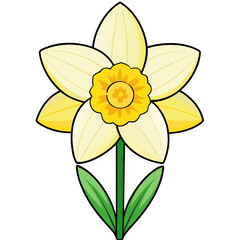 Daffodil flower drawing illustration vector, spring flower, yellow flower, floral design element