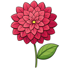 Illustration of a red dahlia flower with green leaf drawing botanical art floral design blossom bloom