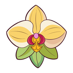 Illustration of a yellow orchid flower drawing with green leaves and pink center design art