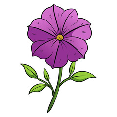 Drawing of a purple petunia flower with green leaves botanical illustration floral design art