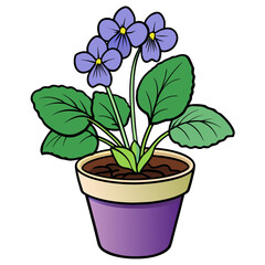 Illustration of potted african violet plant with purple flowers and green leaves drawing art