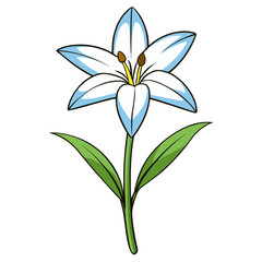 Explore beautiful white lily flower vector illustration with green leaves and stem design element
