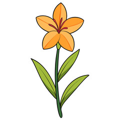 Illustration of orange lily flower drawing with stem and leaves for botanical art projects