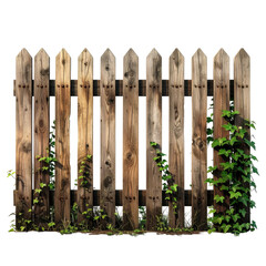 Aged wooden fence with pointed tops, partially covered in green ivy against a black background