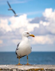 Fototapeta premium Seagull on a pier against a vibrant blue sky and sea