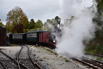Schmalspur - Museumsbahn auf dem Härtsfeld mit Dampflokomotive, Personenwagen, Triebwagen in herbstlicher Landschaft