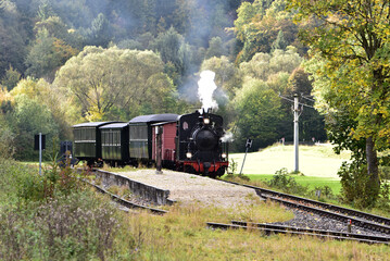 Schmalspur - Museumsbahn auf dem Härtsfeld mit Dampflokomotive, Personenwagen, Triebwagen in herbstlicher Landschaft
