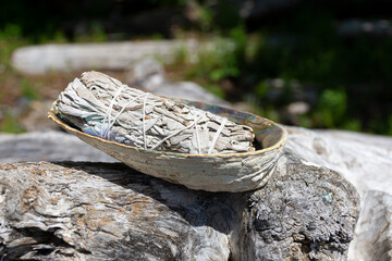 Abalone shell and white sage smudge stick close up. 