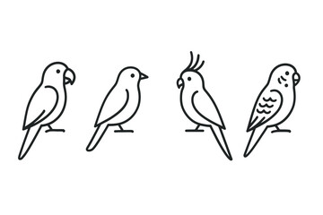 Obraz premium Outline illustrations of four different bird species in profile view