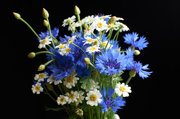 Vibrant bouquet featuring blue cornflowers and white daisies against a dark background, showcasing the beauty of nature and floral arrangement artistry