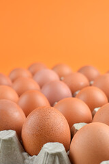 Fresh brown eggs arranged in a carton against a vibrant orange background, showcasing their smooth texture and natural color, ideal for culinary and food-related projects