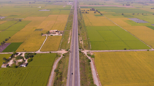 Aerial view of a straight rural road through green and golden rice fields
