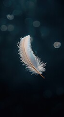 A single feather floating in the air, against a black background