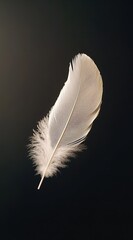 A single feather floating in the air, against a black background, with soft lighting creating gentle reflections on its delicate structure
