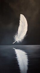 A single feather floating in the air, against a black background, symbolizing lightness and freedom