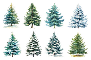 Obraz premium Watercolor evergreen trees winter