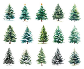 Obraz premium Diverse watercolor evergreen trees collection.
