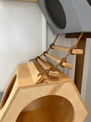 staircase in the house