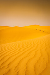 Landscape of the Rub Al Khali Desert near Dubai,  UAE