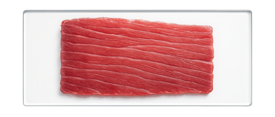 Thin muscle tissue slice on slide, showing striated fibers under light microscopy.