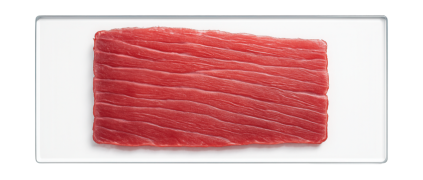 Thin muscle tissue slice on slide, showing striated fibers under light microscopy.