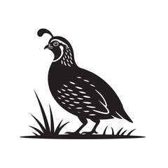 Quail Bird Silhouette Illustration