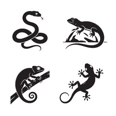 Reptile Collection Snakes & Lizards